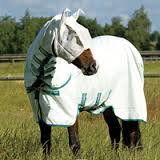 Horse fly rugs